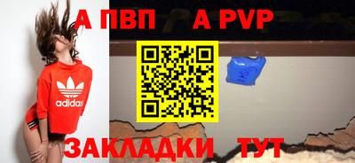 стаф Славгород